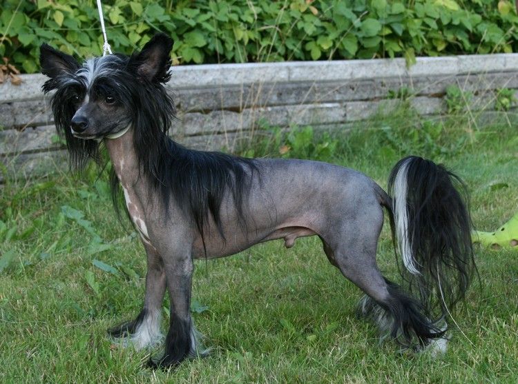 Maybell's Born to Run