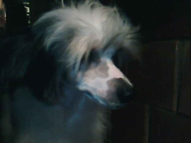 To See Inside Of Your Soul Imperija