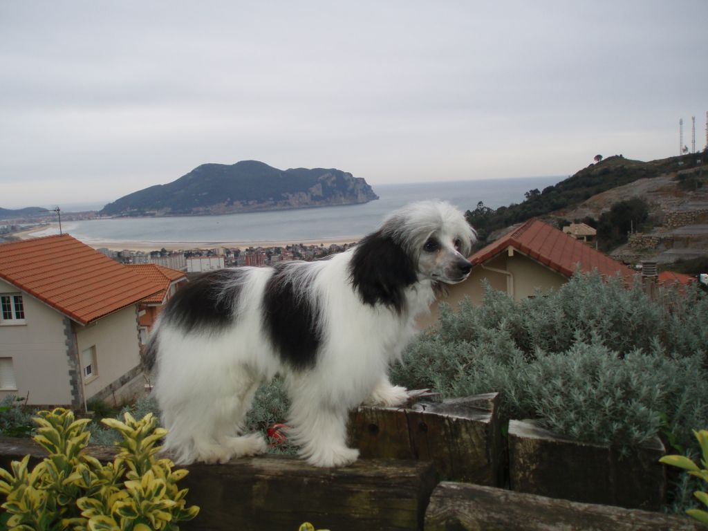 Atxarrea Tutto Siciliano