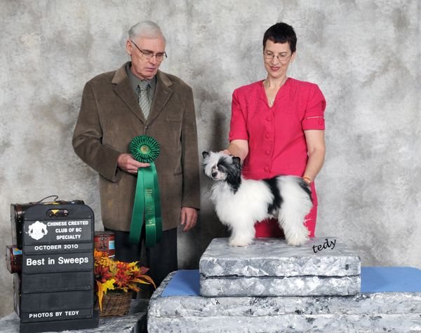 Crusin from Tilea To Sunberry