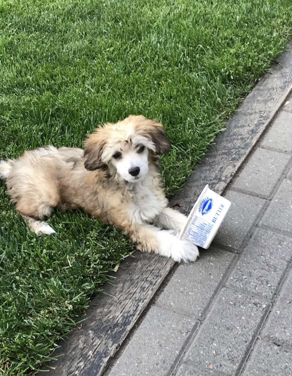 Taja Mamtaj Taj Mahal