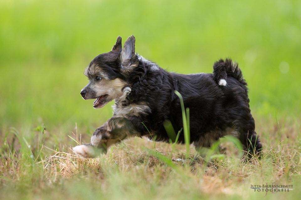 Aphrodite vom Druidenhain