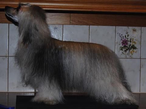 Desireme Run The World