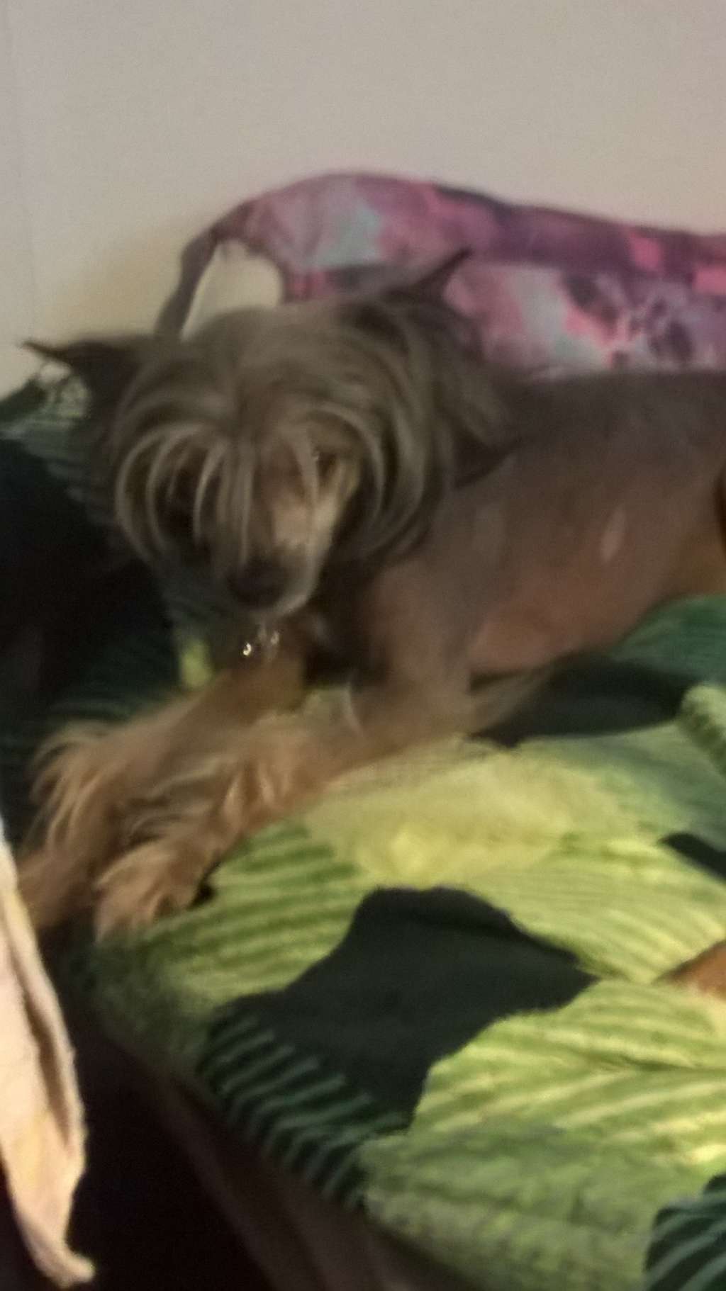 Risky love de Almamasan