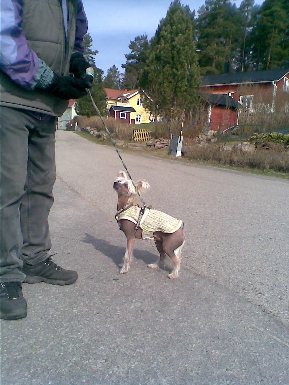 Debless One's Arthur Lee