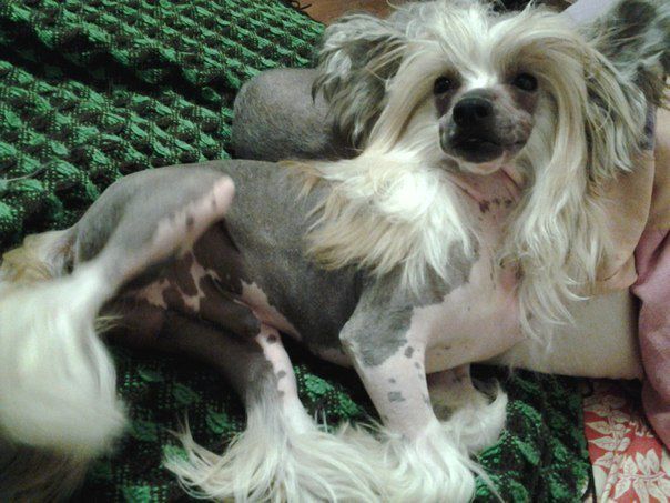 Grand Sunlife Teeny Weeny Kim