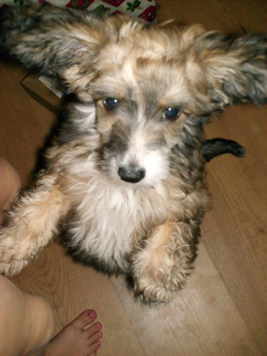  Artic Tundras  Chanel no 5