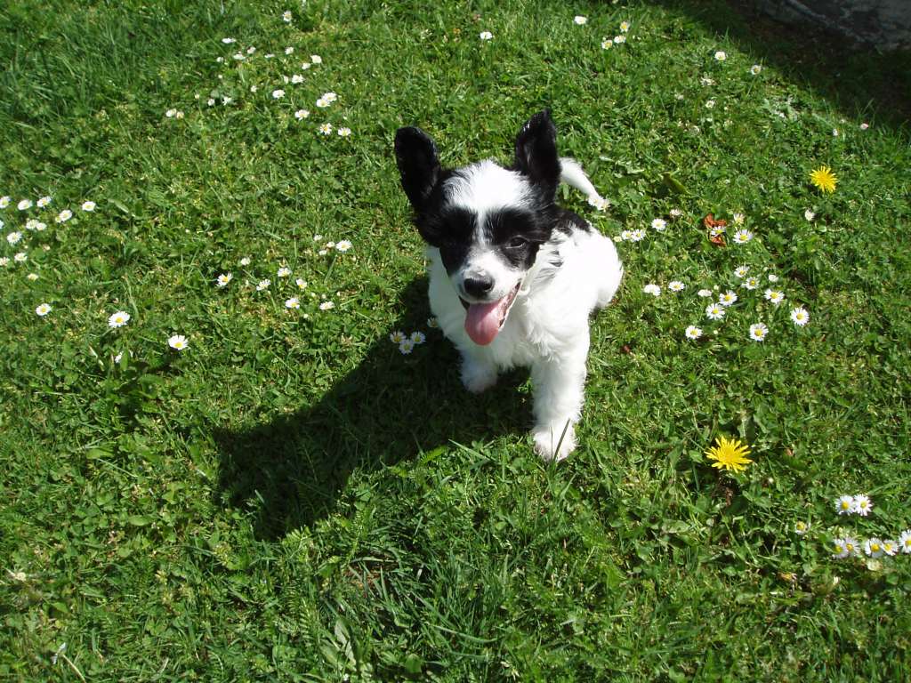 Franzell Man "n" Da Mirror