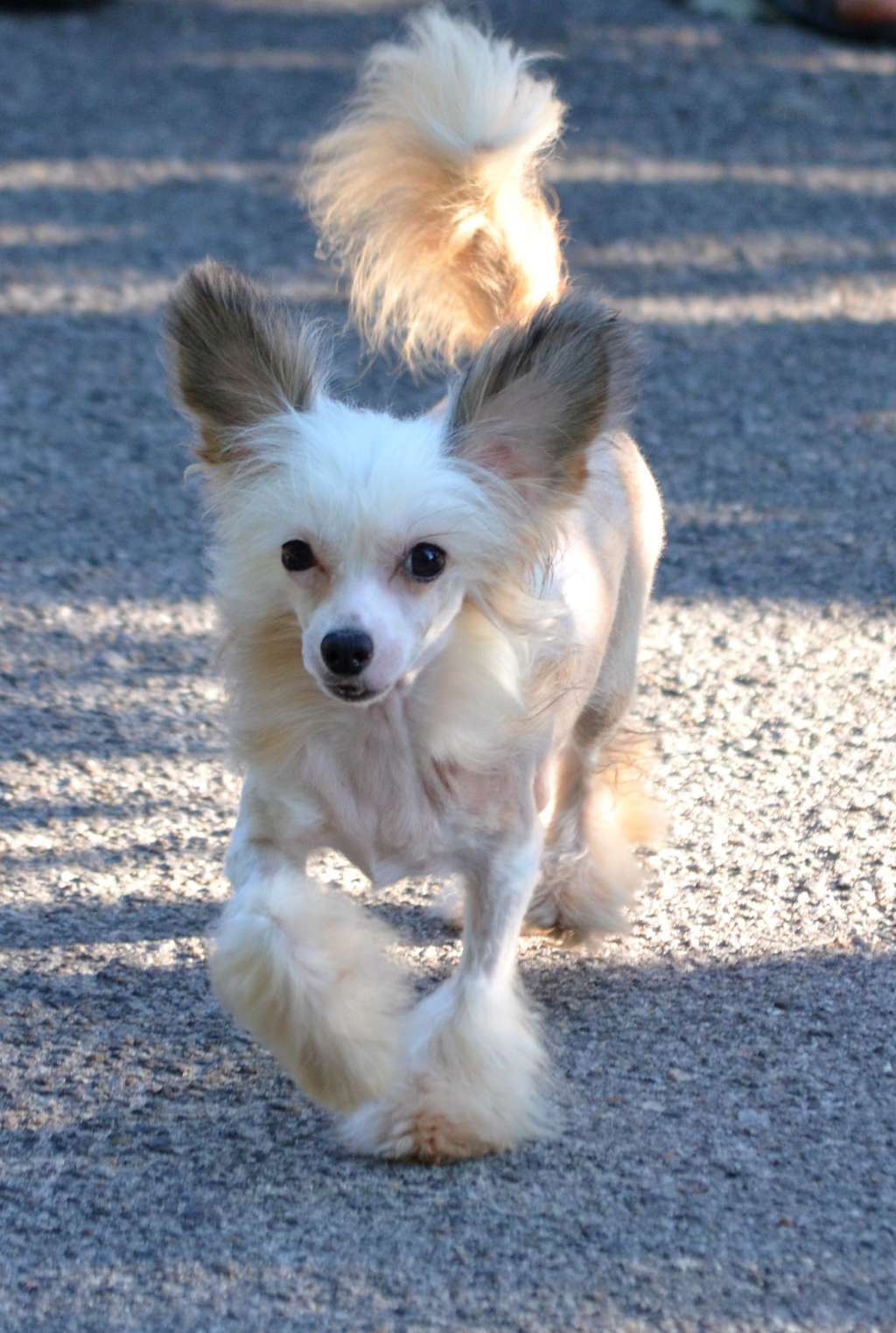 Magic of Success Emma