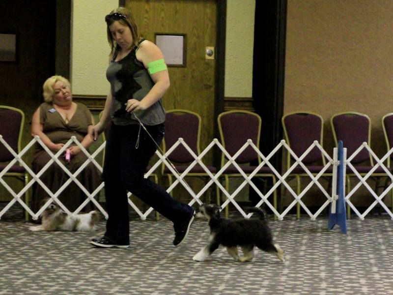 Koridawns Courtesy Of The Red, White & Blue