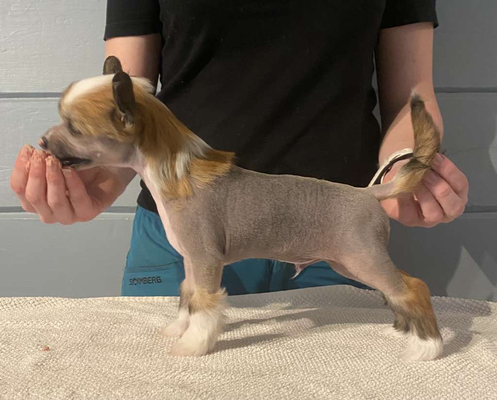 Moelmo?s Dramatic Entrance