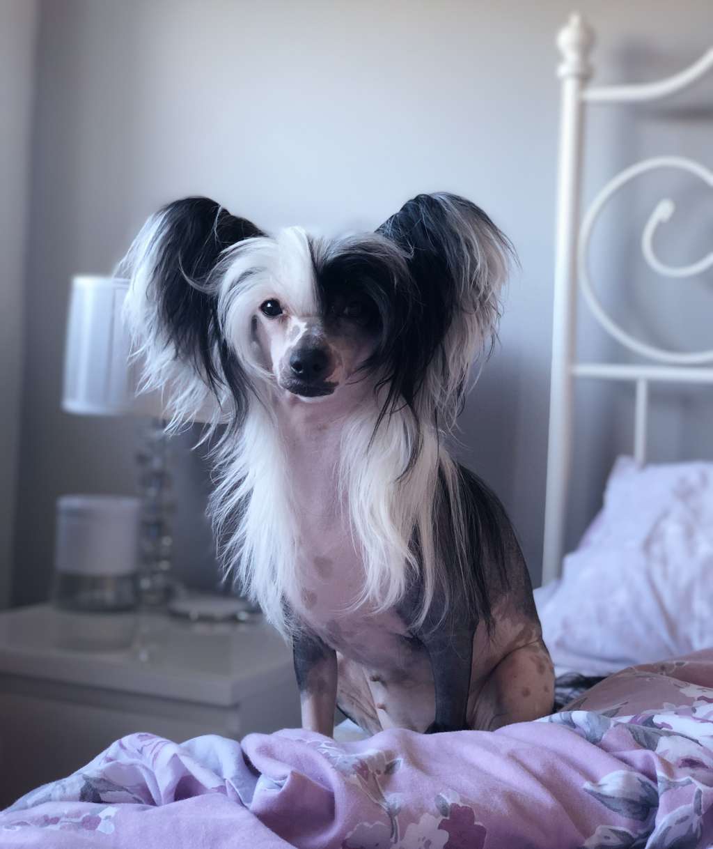 Miniatura Club Shine Bright Like A Diamond