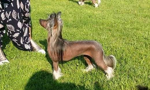 Cheer Me Up  Avokaduh