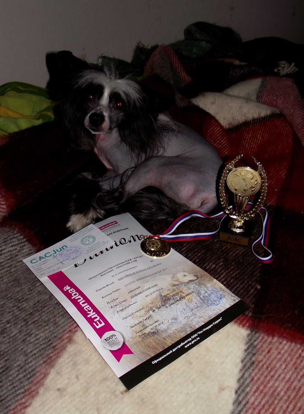 Status Imperial Alter Ego