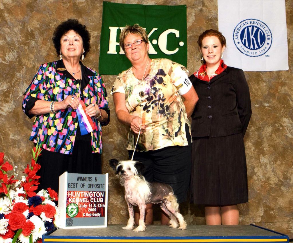 Joyway's Kiss Me Kismet