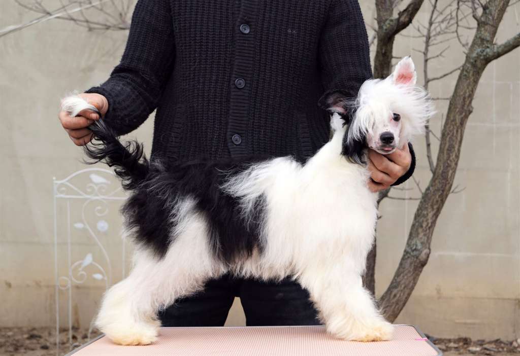 Highway Z Valdorfskych lesu