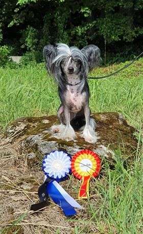 Kaitlin Kardashian Kim