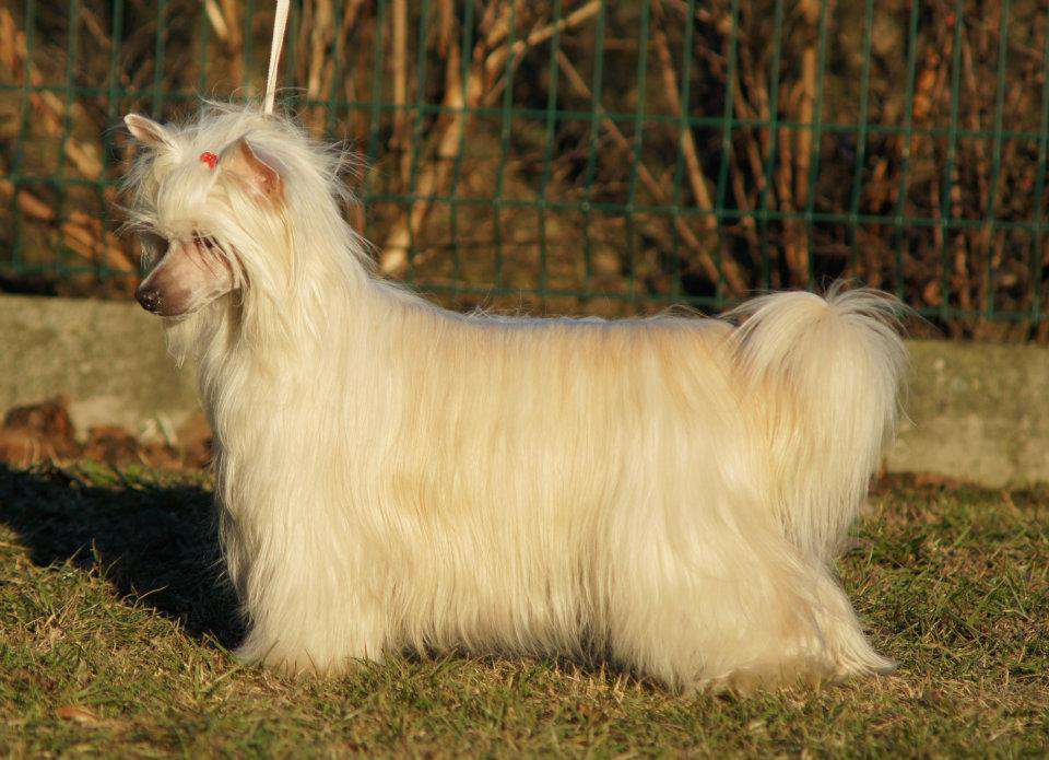 Satisfaction Just Like Summer