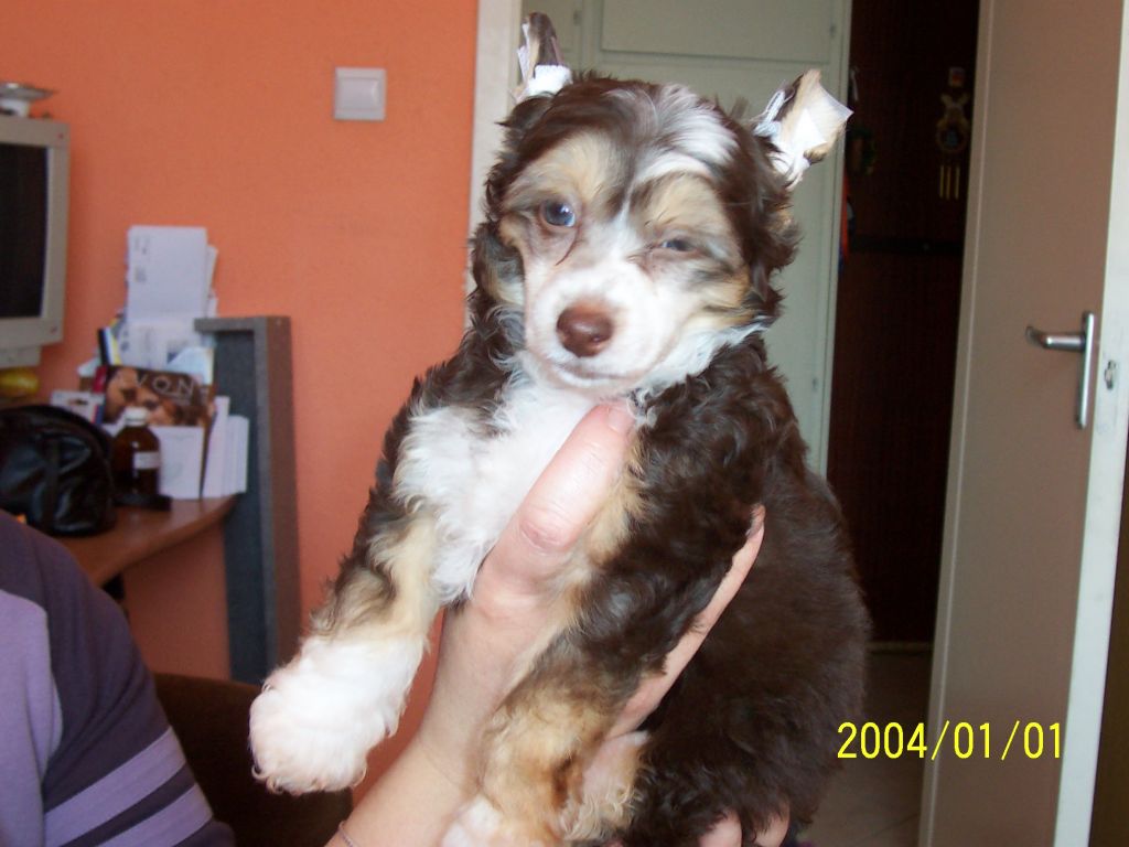 Apozia Layla of Pinky Punkies