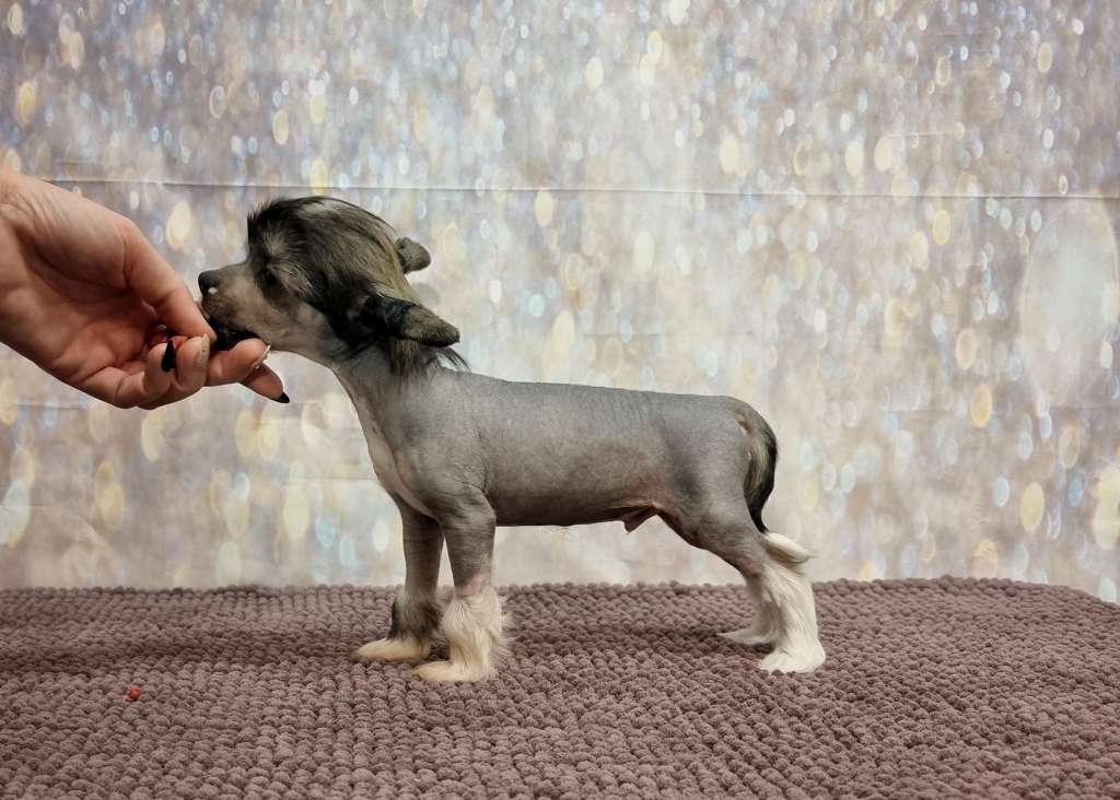 Naked Stars I'm My Own Happy Pill