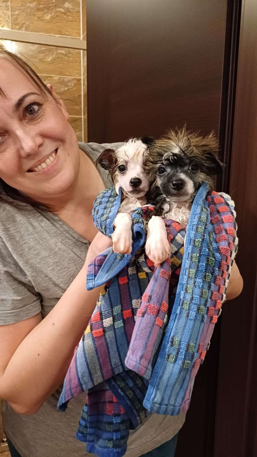 Famous Diamonds Chinese Butterfly