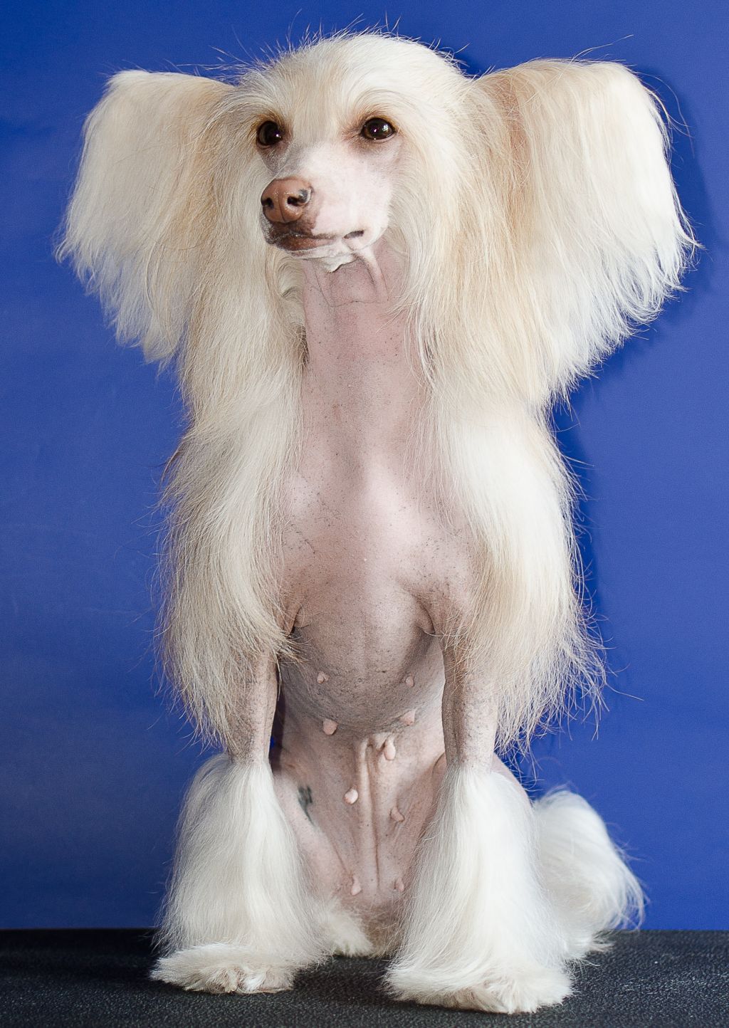 Kranar It's My Delight