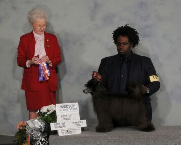 Dareto2bBare Mr Audigier to U ByDezign