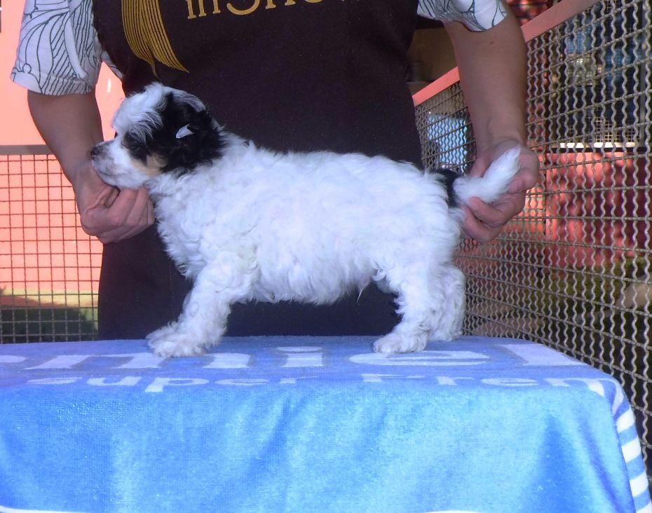 Élros Praia do Sossego e Iris Azul