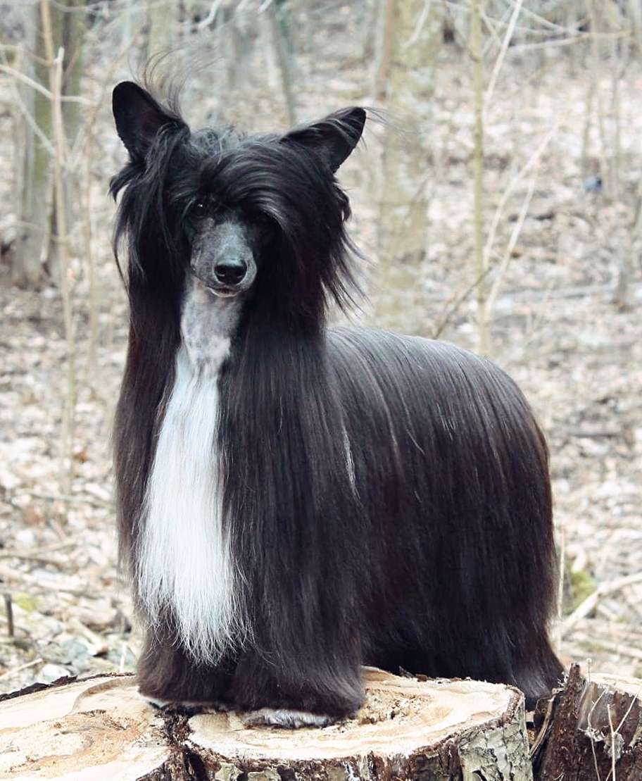 Arte Figure Kiss Kiss