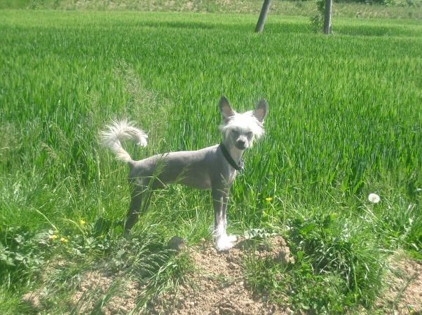 Hot and Spicy Fantasy Island