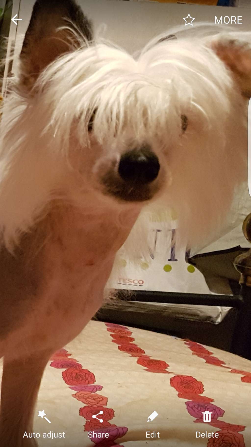 Millvosi Ab Fabulous