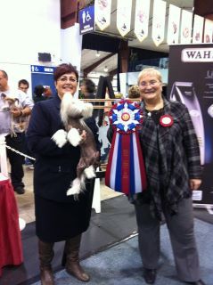 Crest-vue So Grin'n Bare It