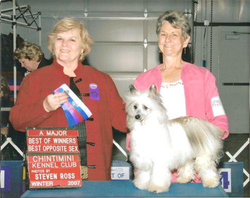 Jato Caro Not-So-Bare