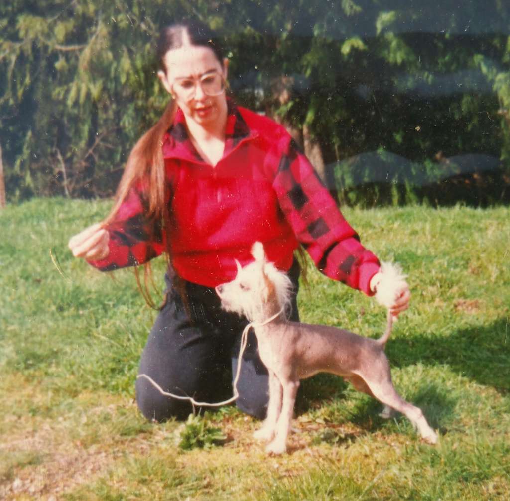 Serendipitys Ball Of Fire