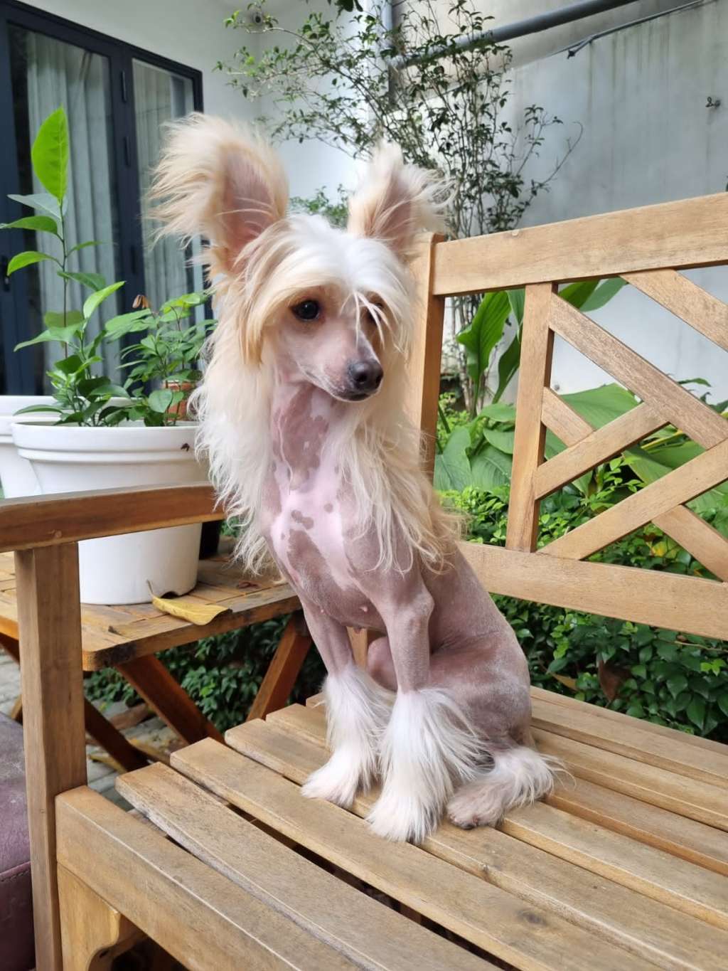 Art Rebellion Soul Sniper