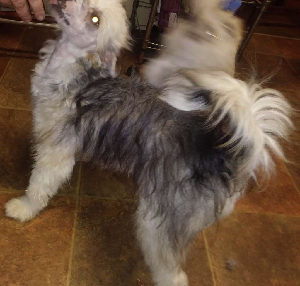 Infinity Sterling Silver