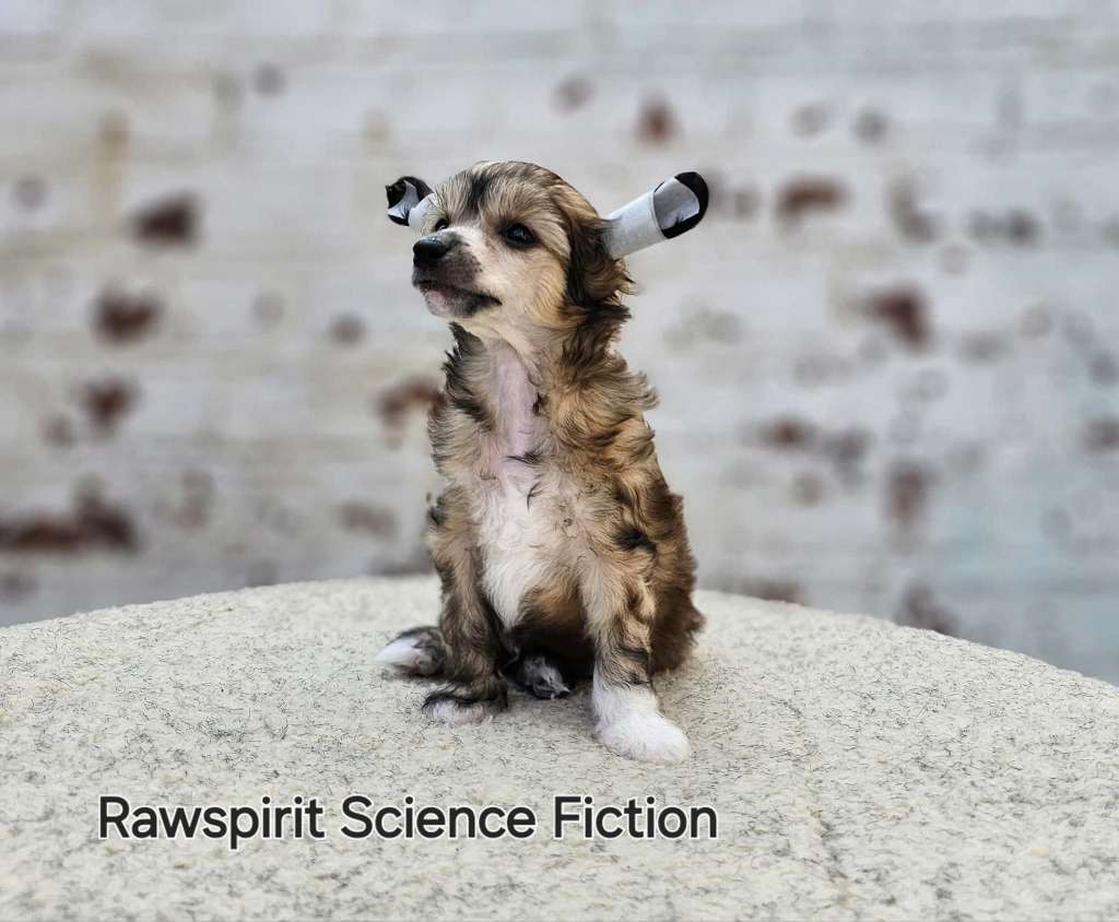 Rawspirit Science Fiction