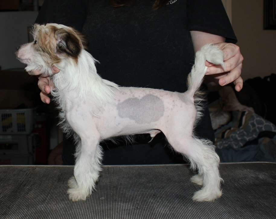 Gardine Baby Bubbles