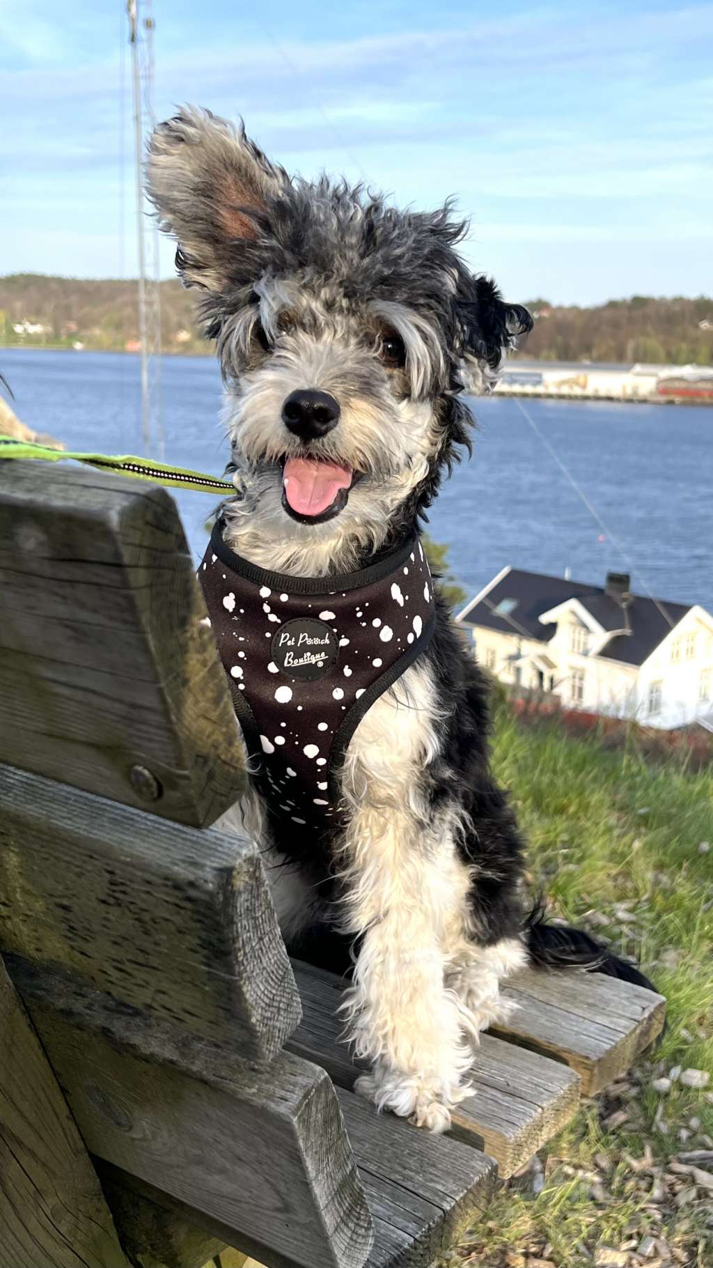 Beautiful Mr Bulle by Naked Bubbles