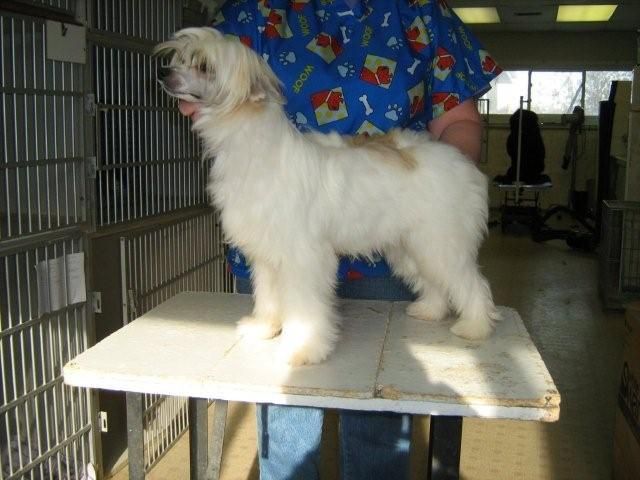 Mosaic Pyx Let's Talk About Me