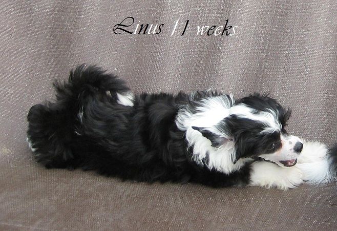 Dresscode-Zero Living a Lie