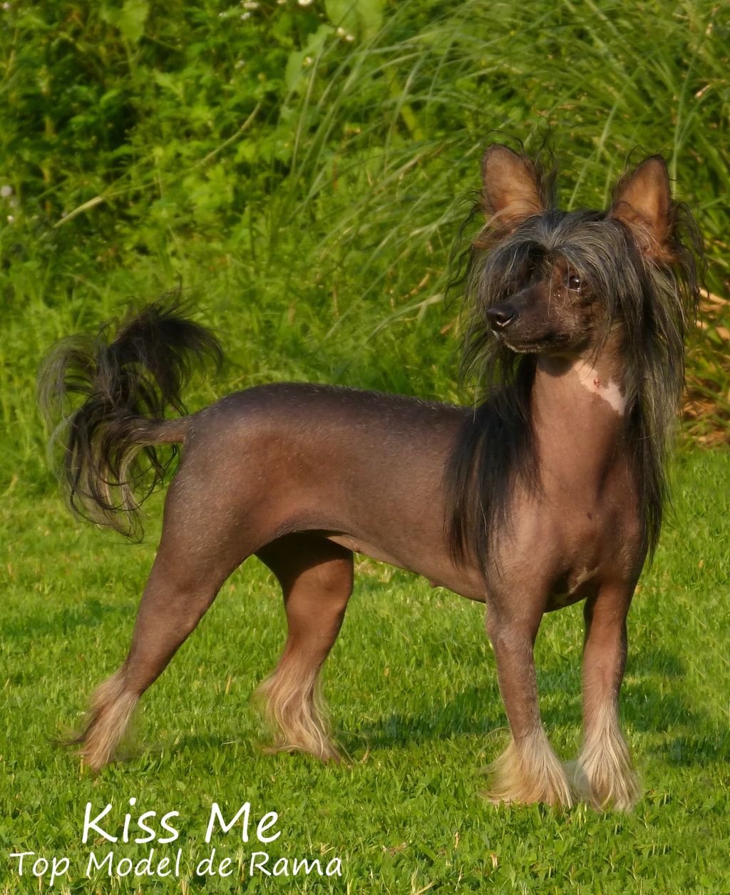 Kiss Me Top Model De Rama