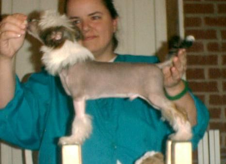 Mengshi's Almost Indecent