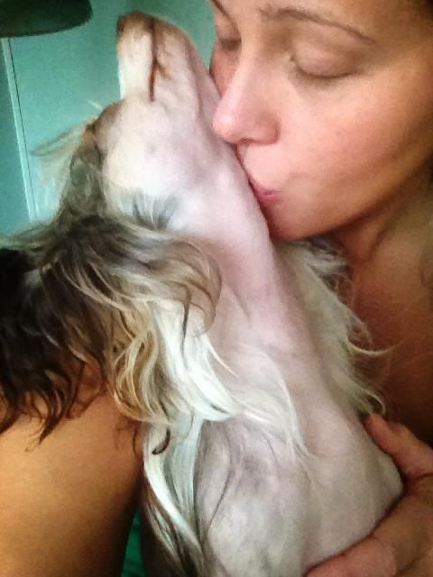 Tailswing's Across the Universe