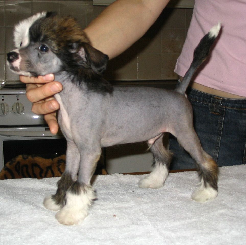 Kiikunkaakun Lemmenjuoma