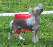 Sidney Fantasy Island