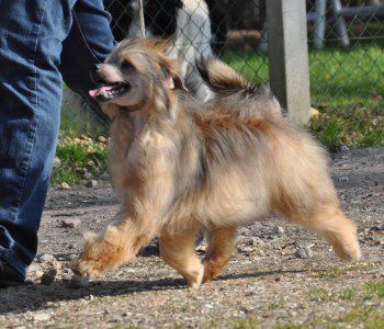 Hot Pepper Little Champs