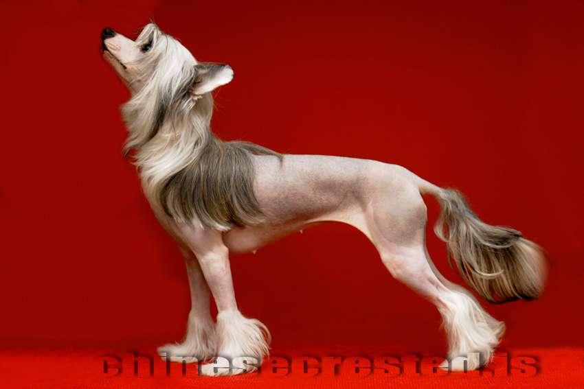 Practical Hero Out Of Question