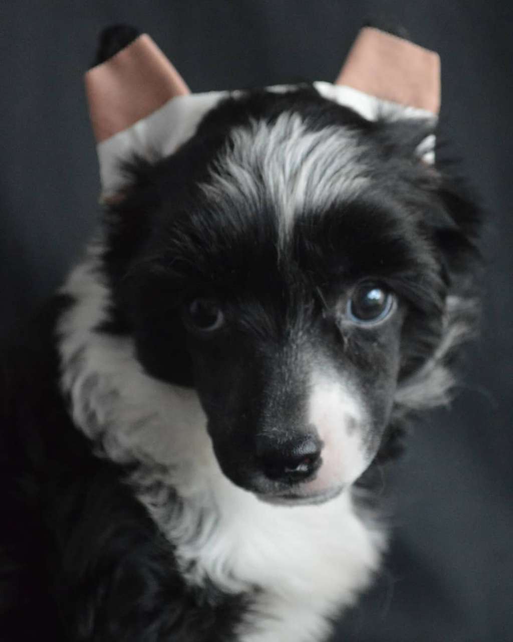 Volcancrest Lavic Lake