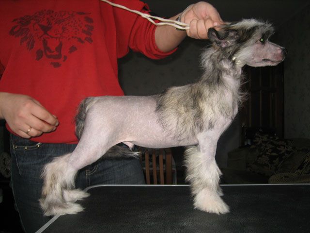 La Vendjes Nigthly Light